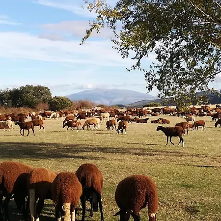 Montes De Alhama בית כפרי *