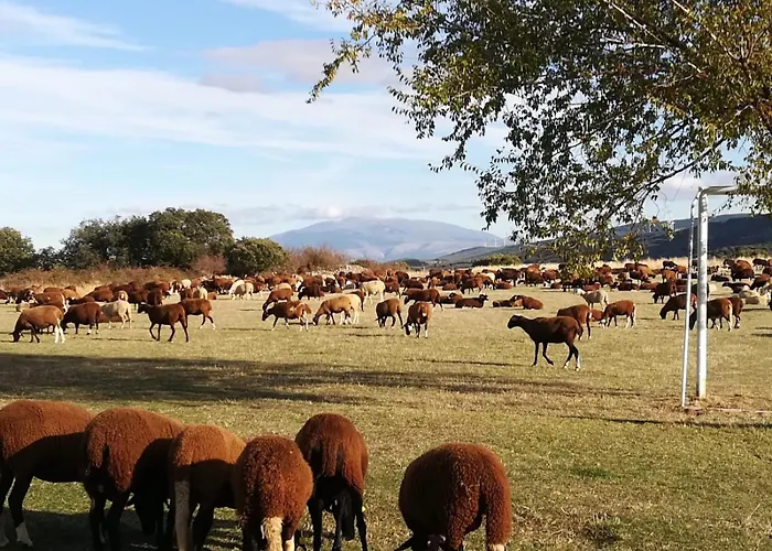 Montes De Alhama Casa de Campo *